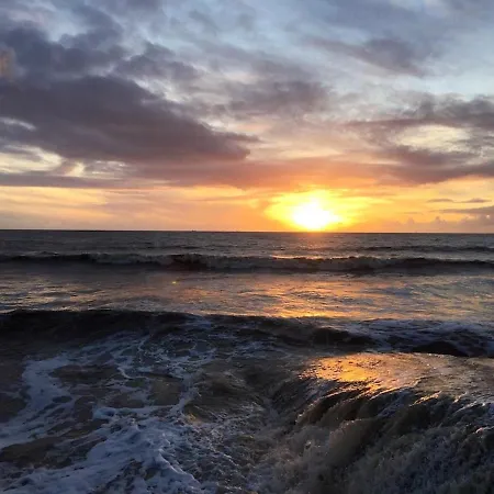 Ferienhaus Convivial A Avec Piscine - 32 M² *