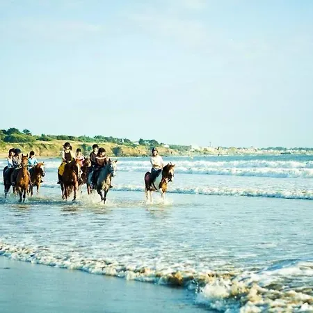 Ferienhaus Convivial A Avec Piscine - 32 M² *