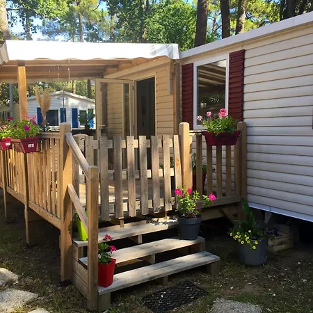 Convivial A Avec Piscine - 32 M² *